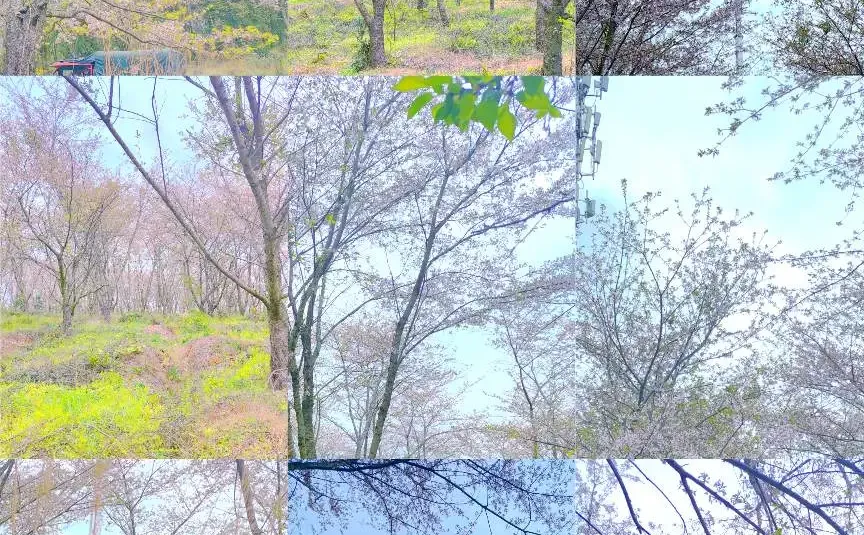 我发现一个好东西