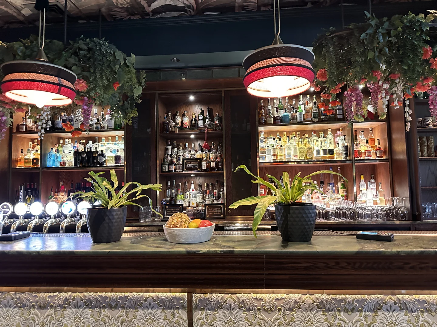 11月｜在春天的新西兰🇳🇿Day 1