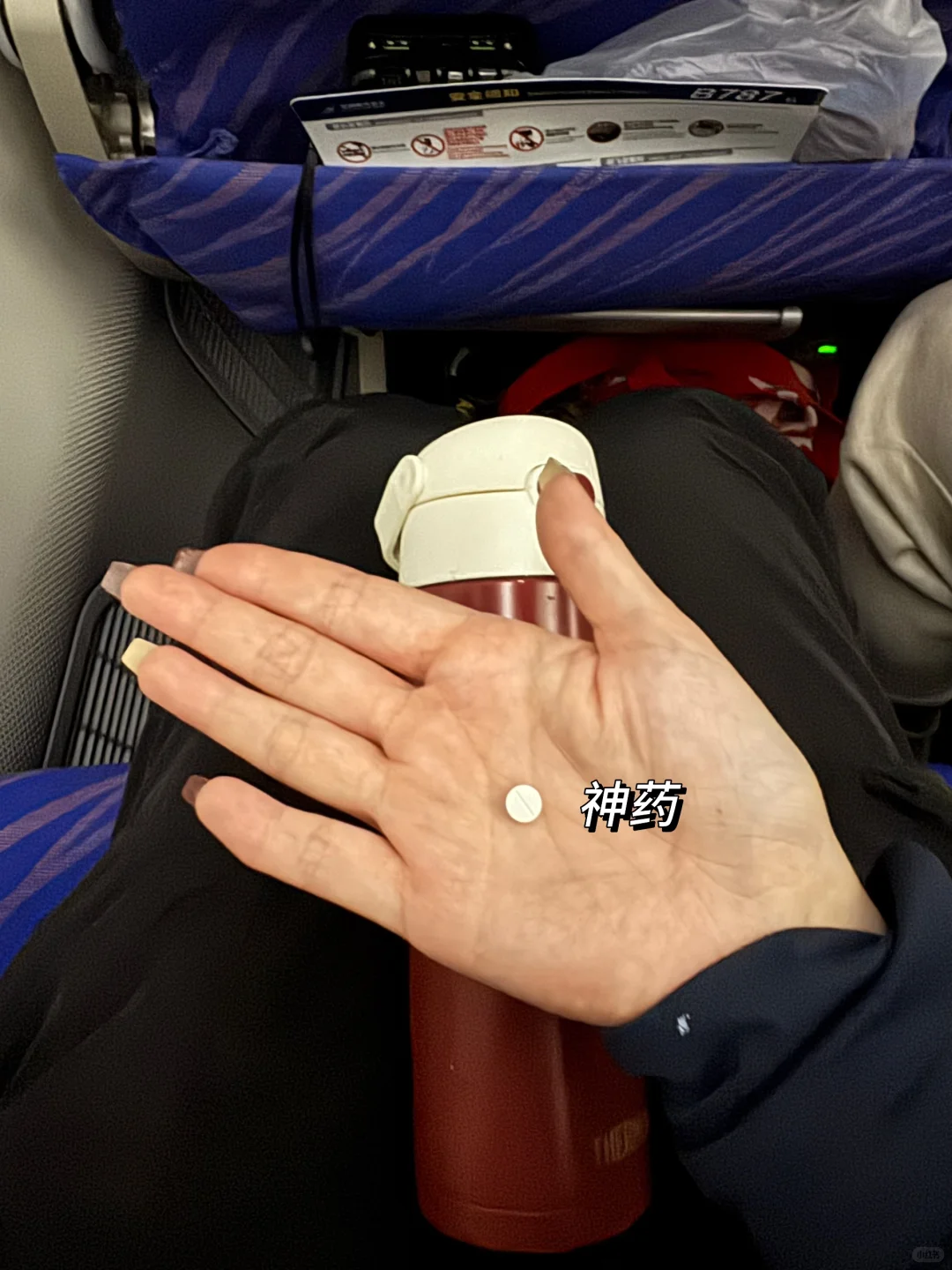 11月｜在春天的新西兰🇳🇿Day 1