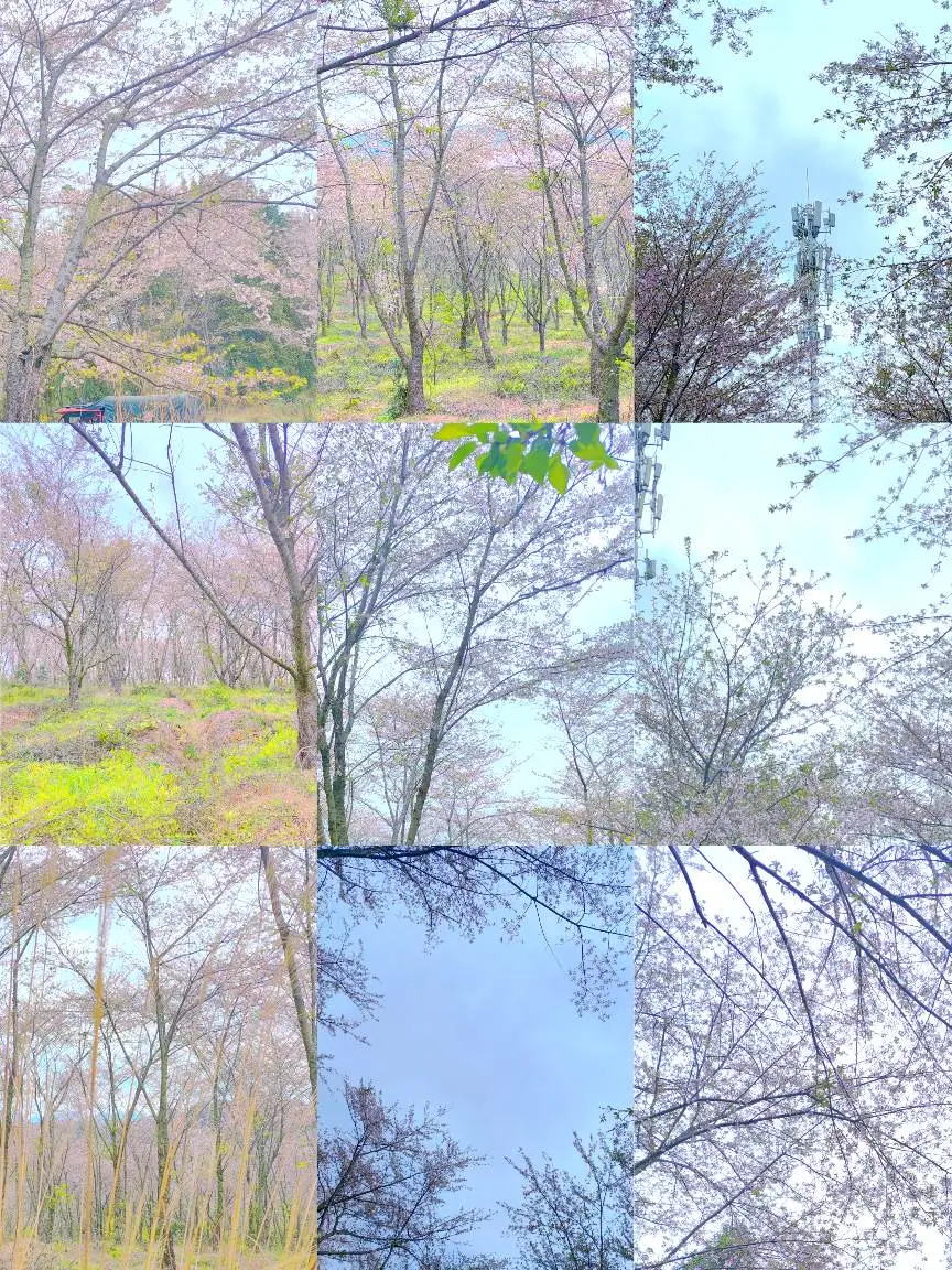 我发现一个好东西