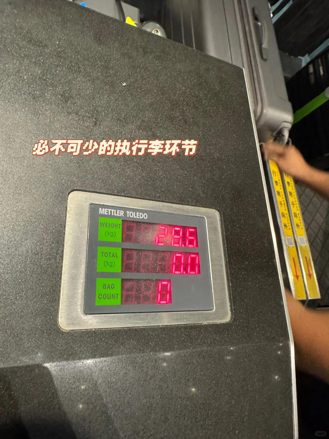 11月｜在春天的新西兰🇳🇿Day 1