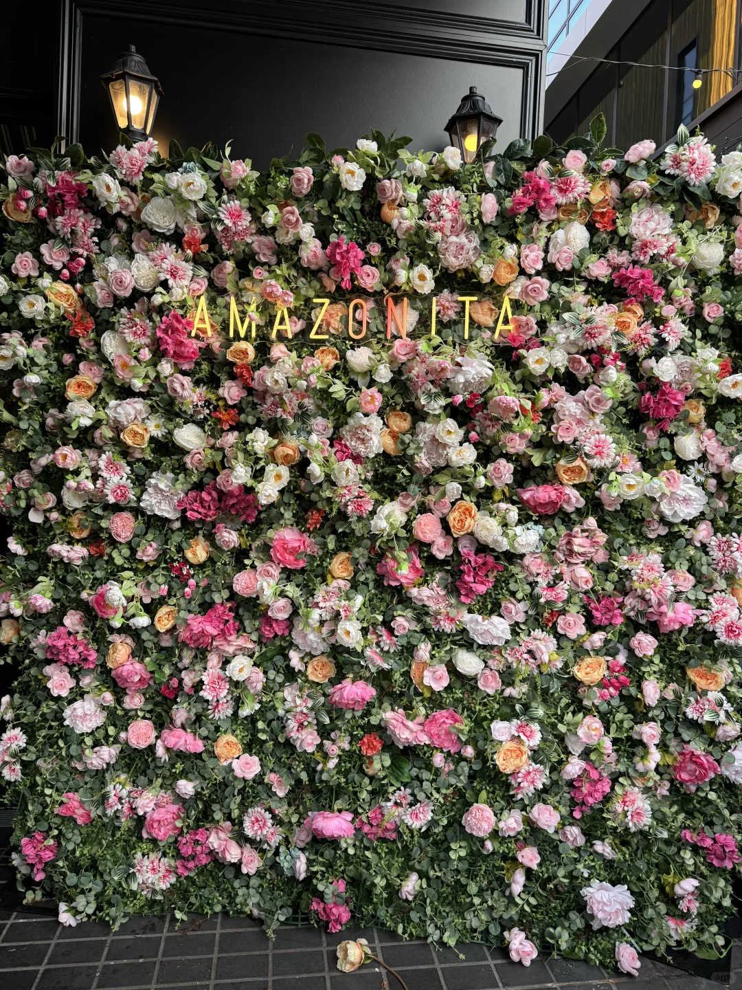 11月｜在春天的新西兰🇳🇿Day 1