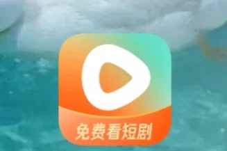 卸载下载了二三十次了吧