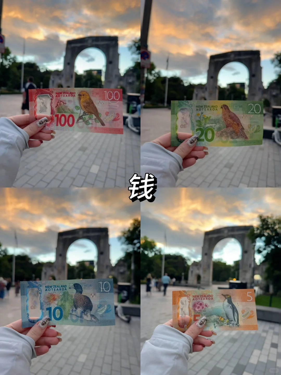 11月｜在春天的新西兰🇳🇿Day 1