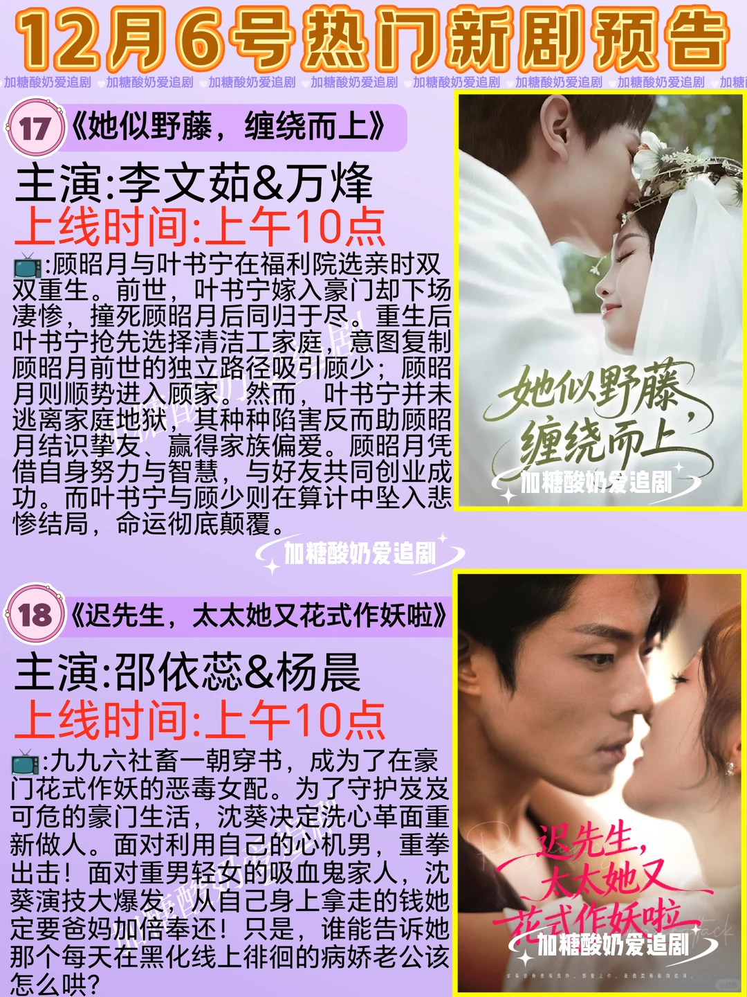 天花板短剧💥12月6日热门短剧预告