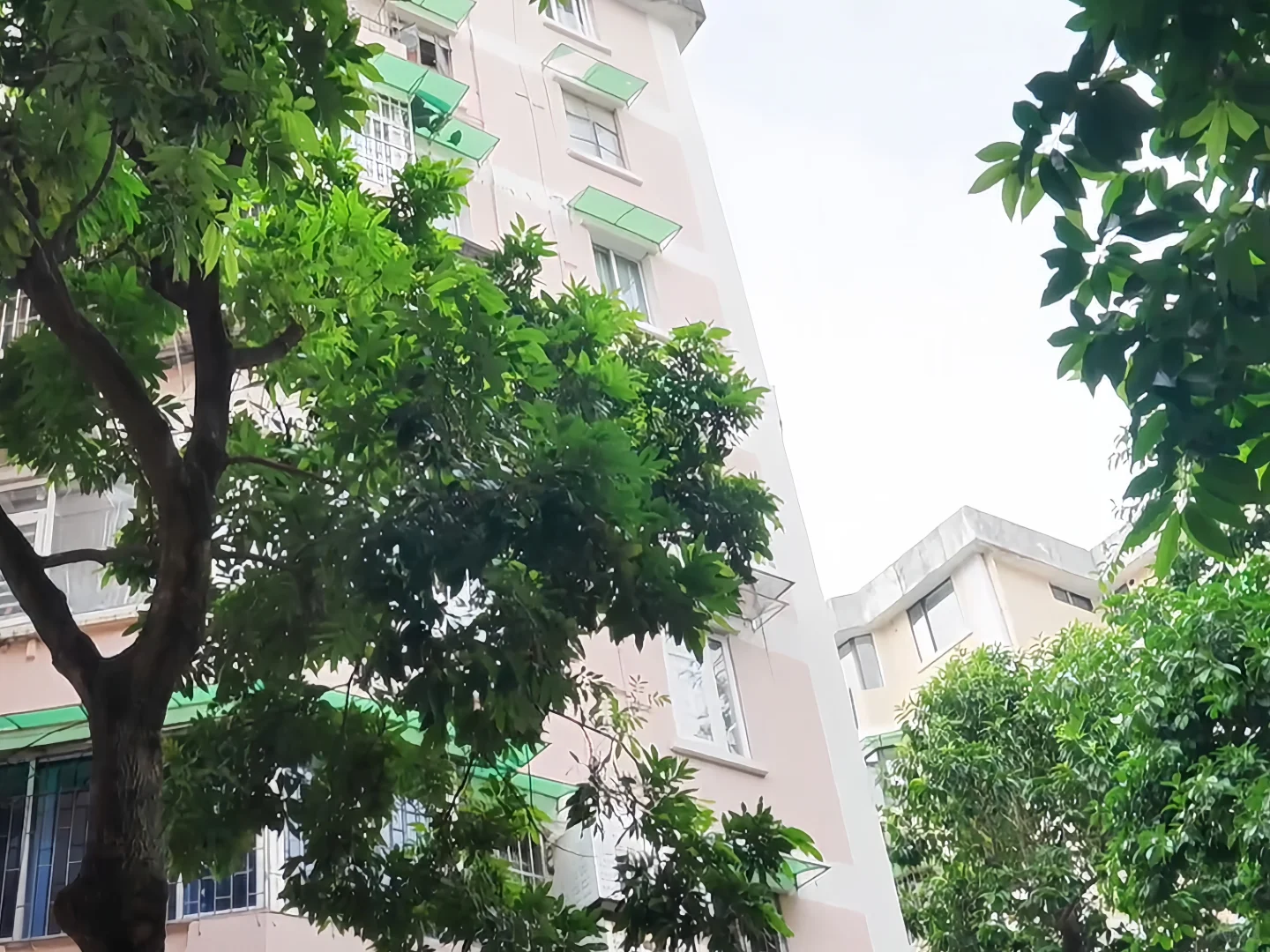 王老吉的短剧“整活”~