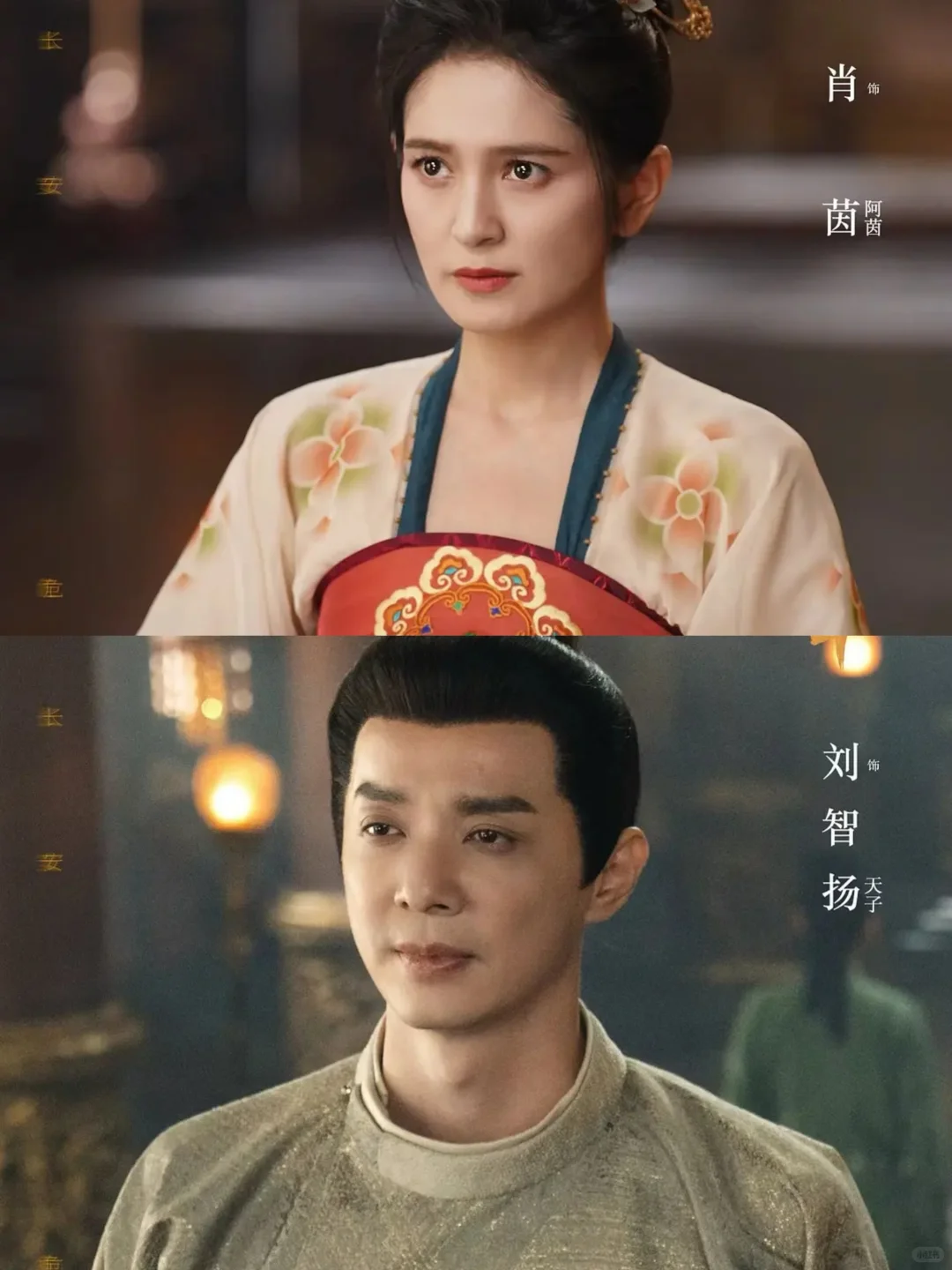 妈耶🆘唐诡宇宙鲨疯了❗原班人马❗太爽了