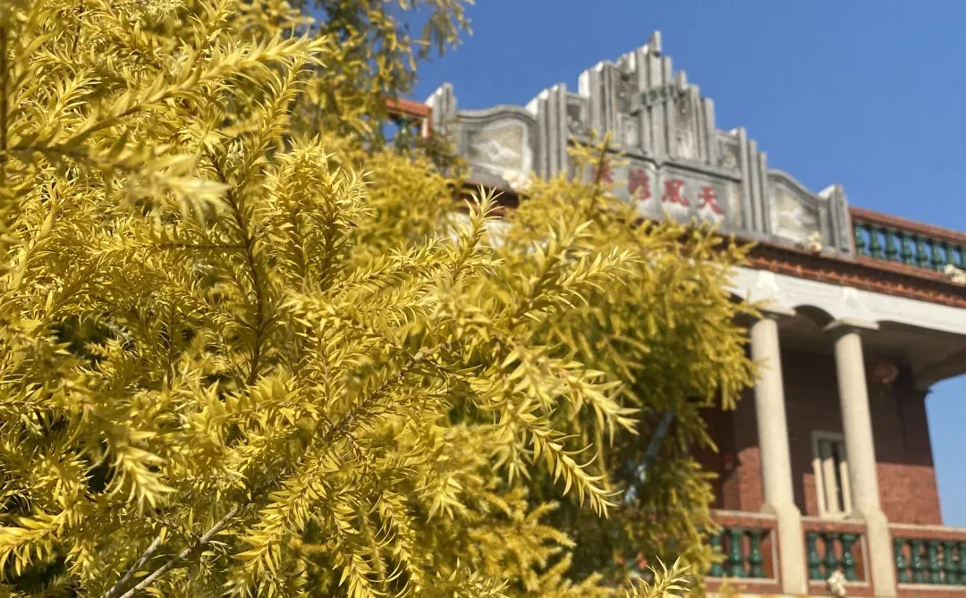 海口厝取景的短剧上线啦