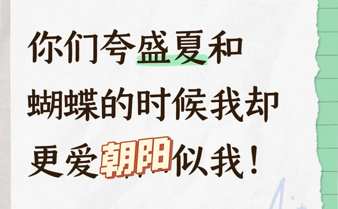 第一部质感短剧细糠！