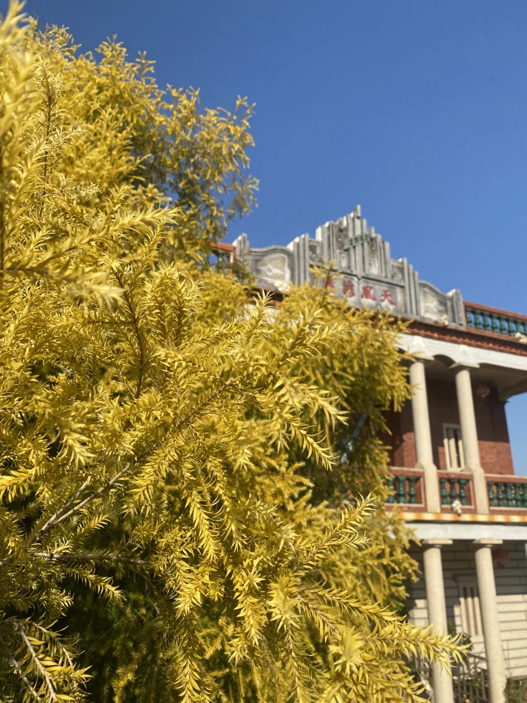 海口厝取景的短剧上线啦