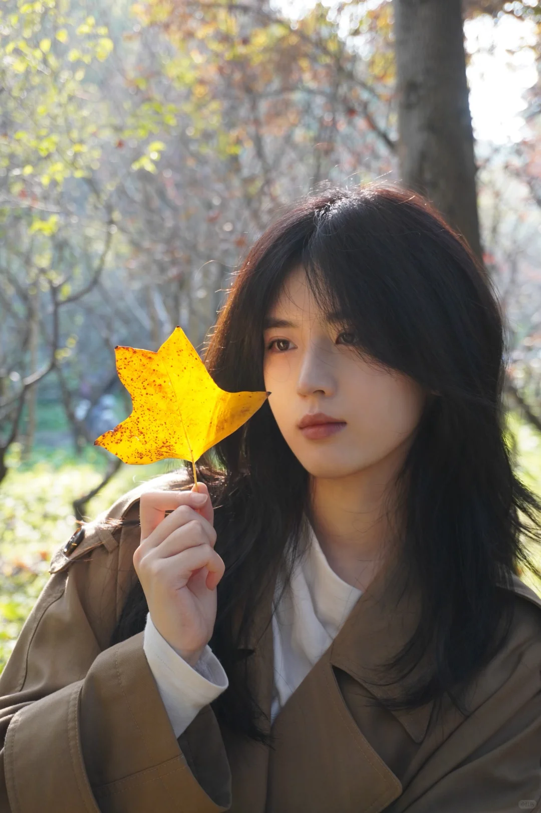 bb们 浅发还是深发适合我！