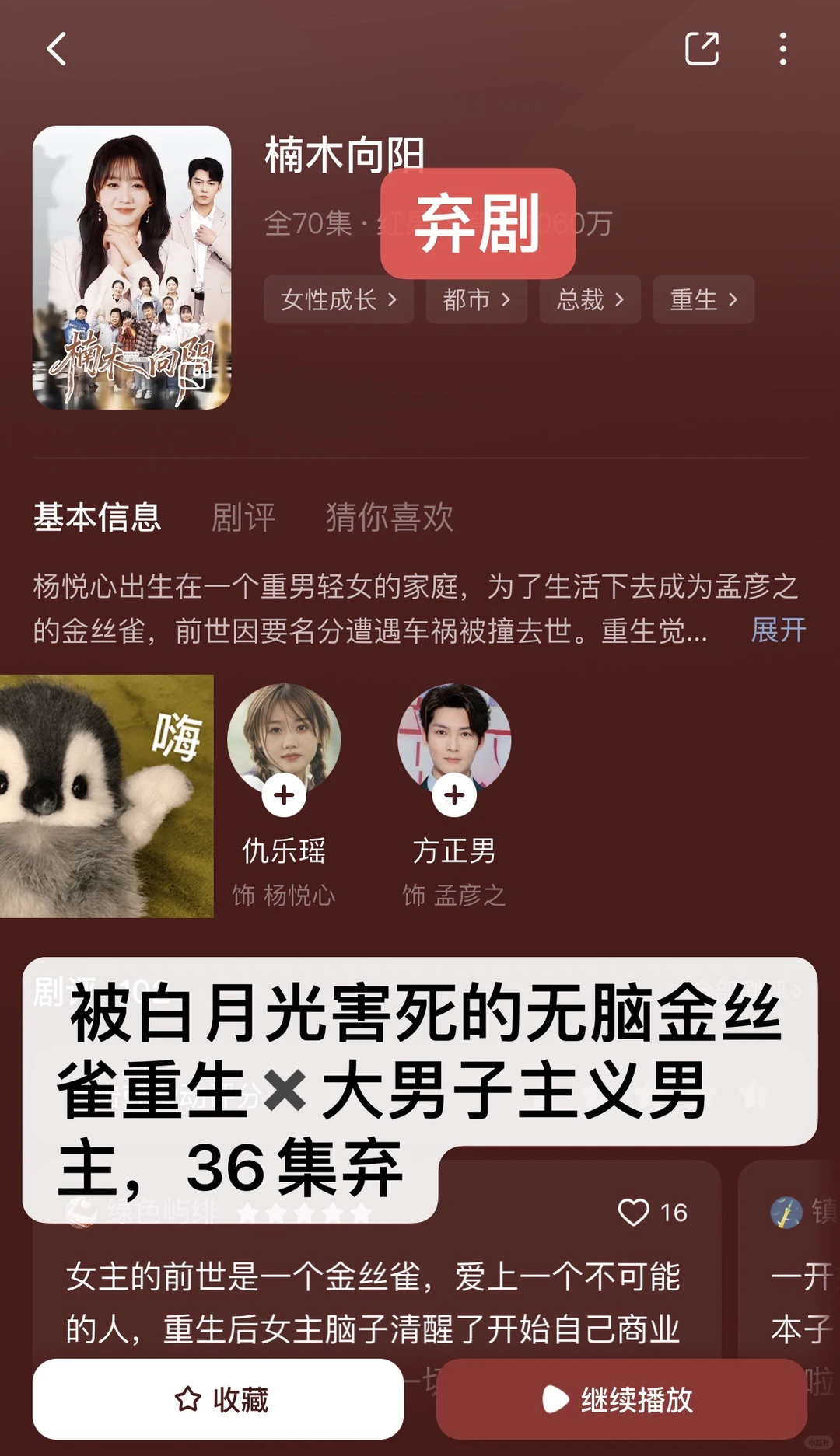 慎入！非粉路人不端水！短剧随手记录（37）