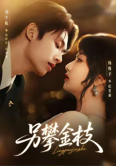 摘脑颜狗刷剧清单22