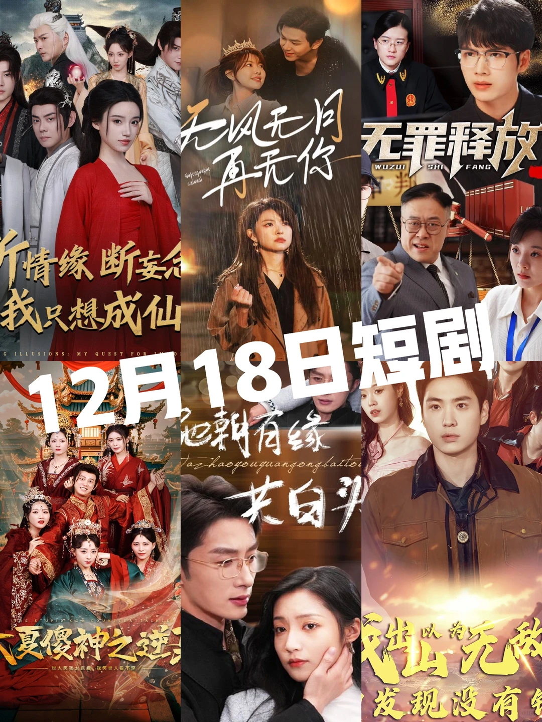 每日更新最新最火爆短剧