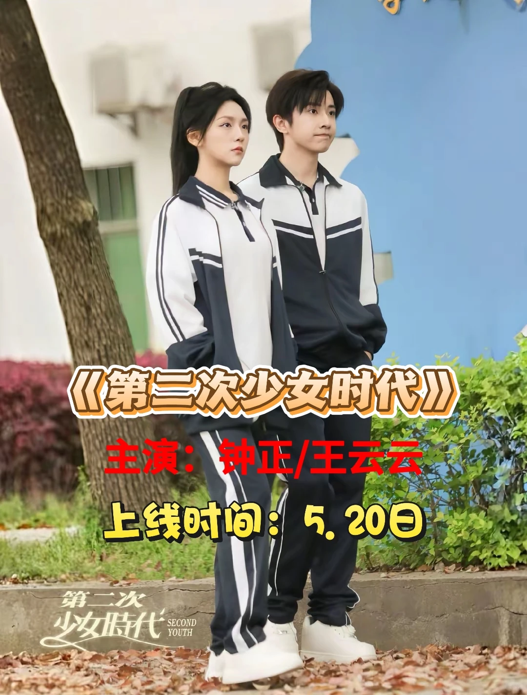 5.17-20日高质量热播短剧上新推荐🔥🔥