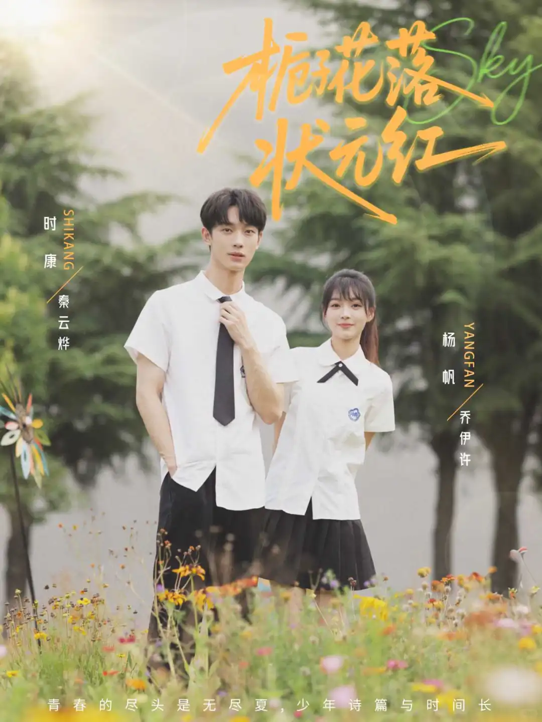 短剧封面海报设计→飞鸟渴望天空