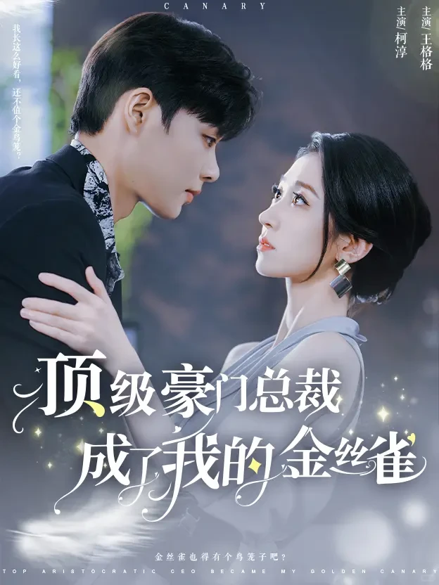 #顶级豪门总裁成了我的金丝雀#柯淳&王格格