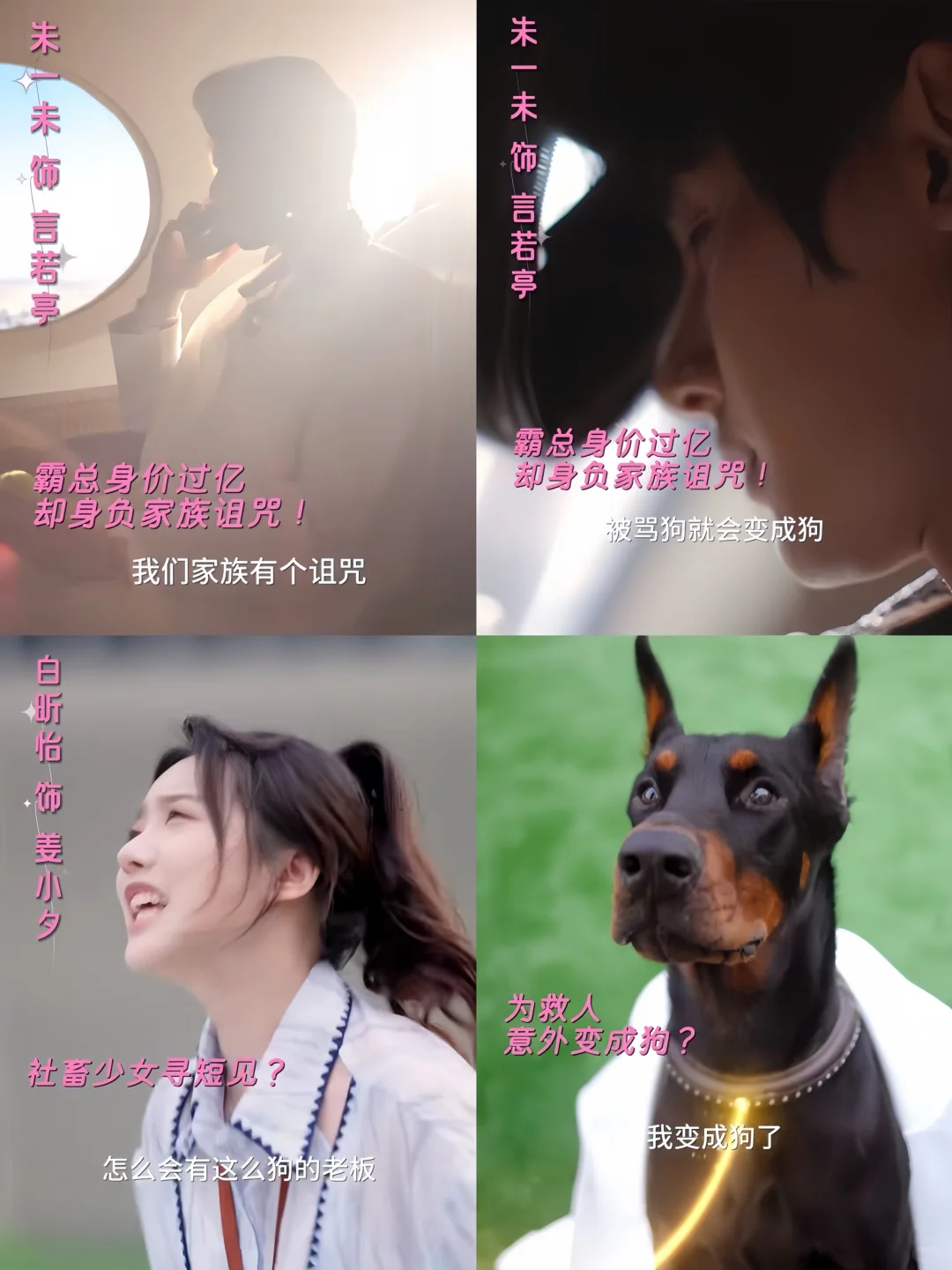 不愧是真夫妻！两口子亲起来看得人热热的！