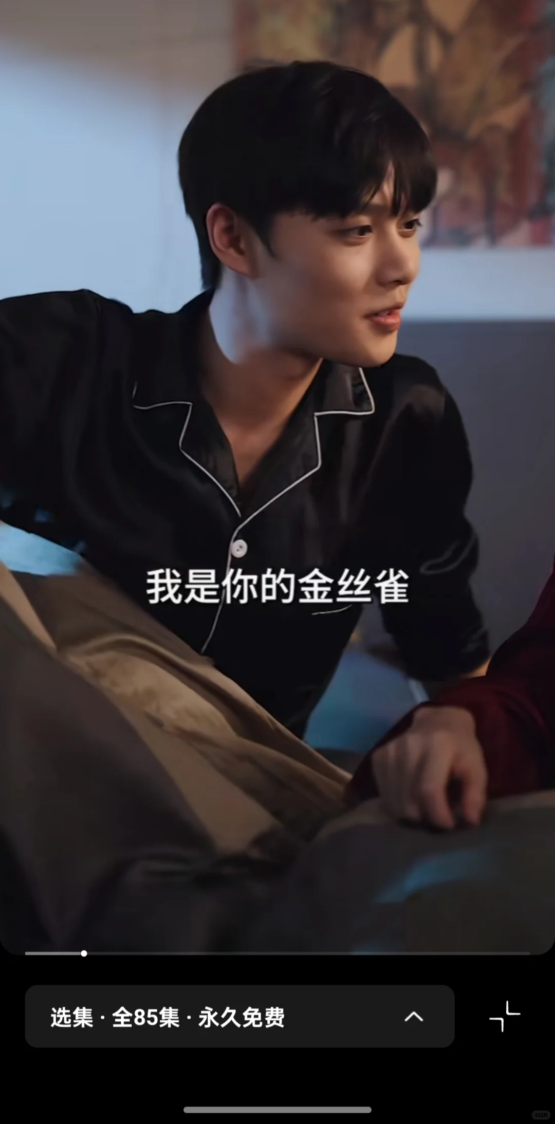 竖屏短剧《顶级豪门总裁成了我的金丝雀》