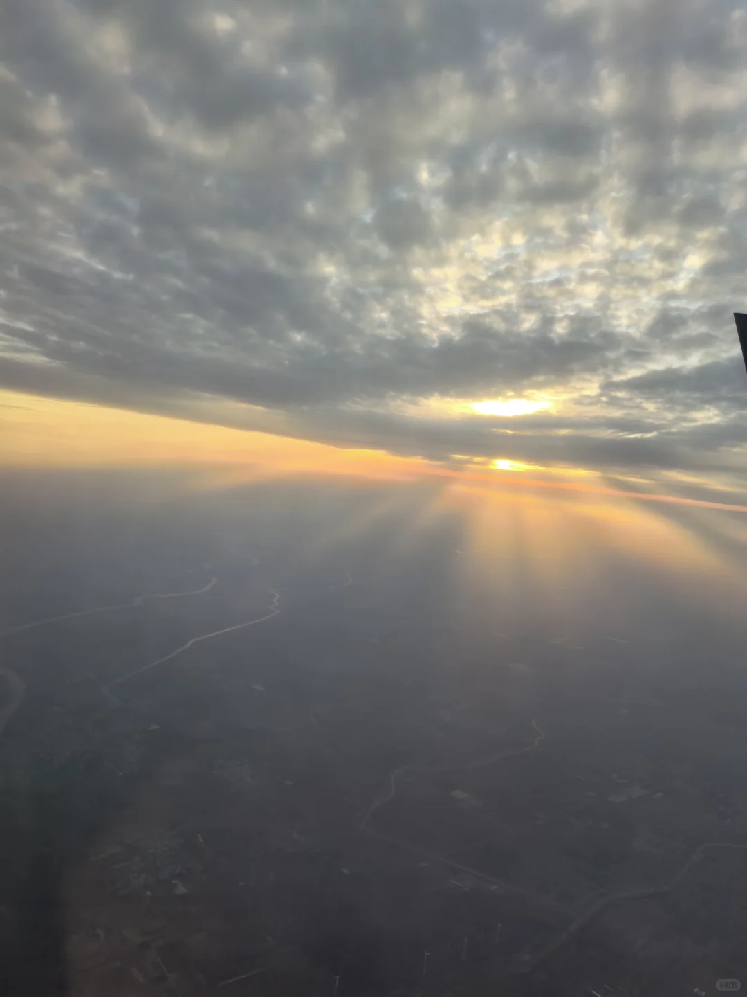 为什么没有会计的霸道总裁爱上我的的短剧