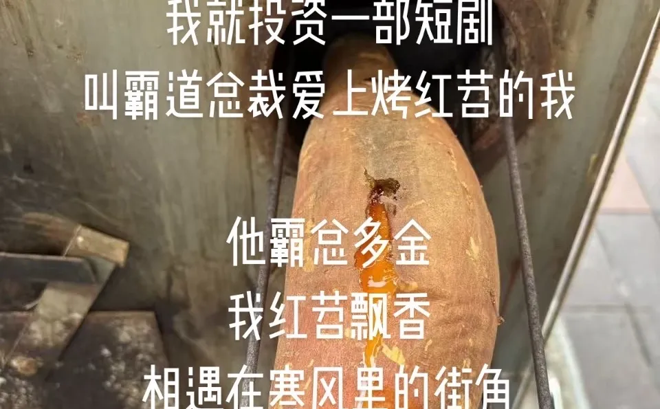 未来顶流短剧预定