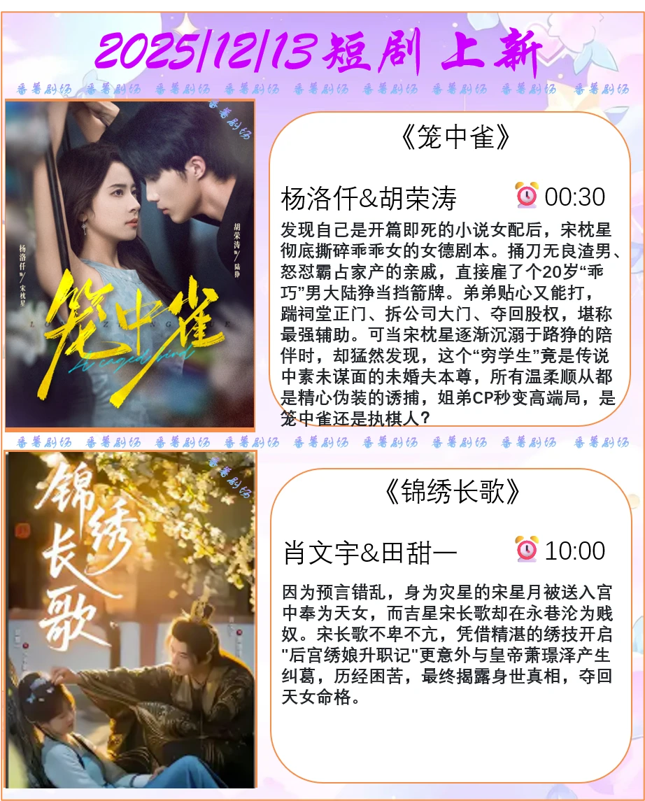 📺2025/12/13短剧上新