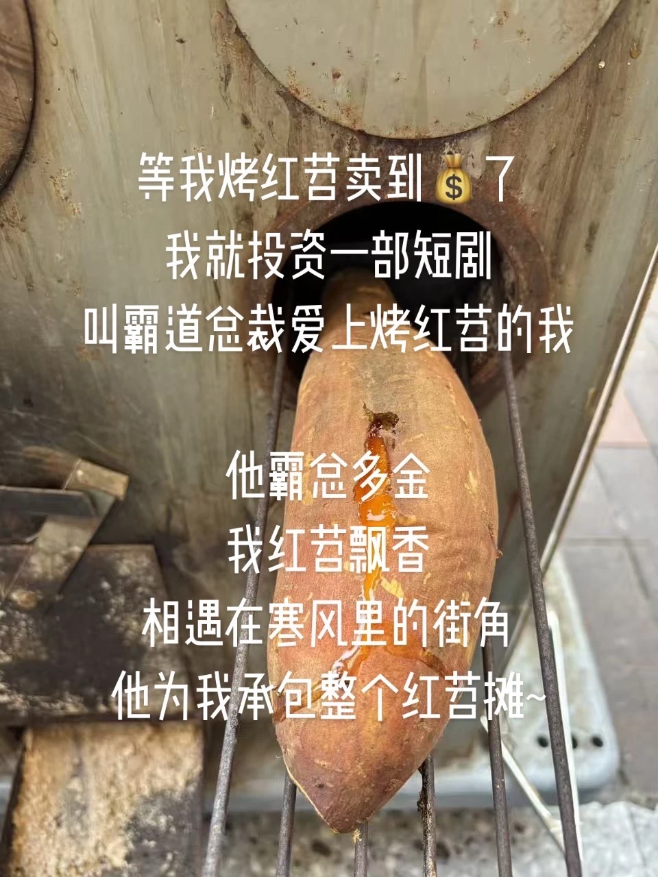 未来顶流短剧预定