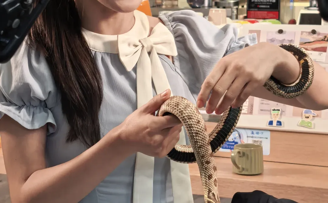 嘶…我们居然真的上了短剧？