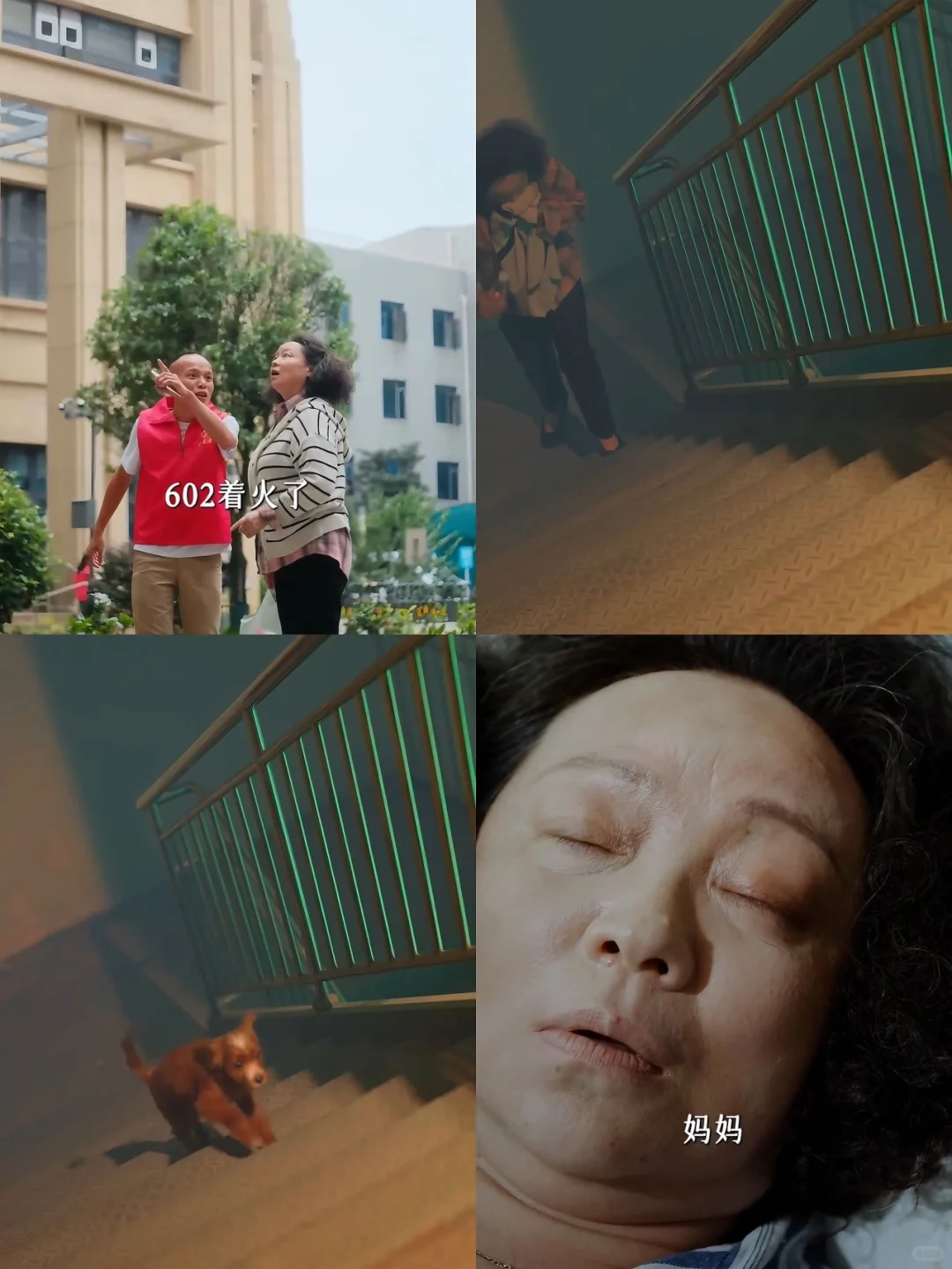 看哭了，原来盖世英雄是一只狗狗！