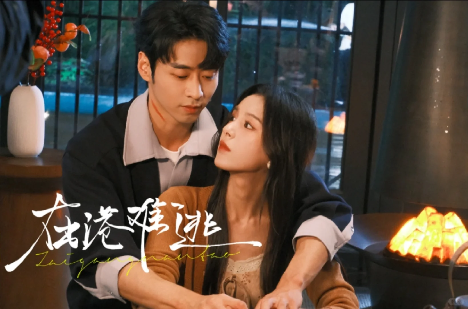 🤩🤩🤩外狠内野掌权者《在港难逃》