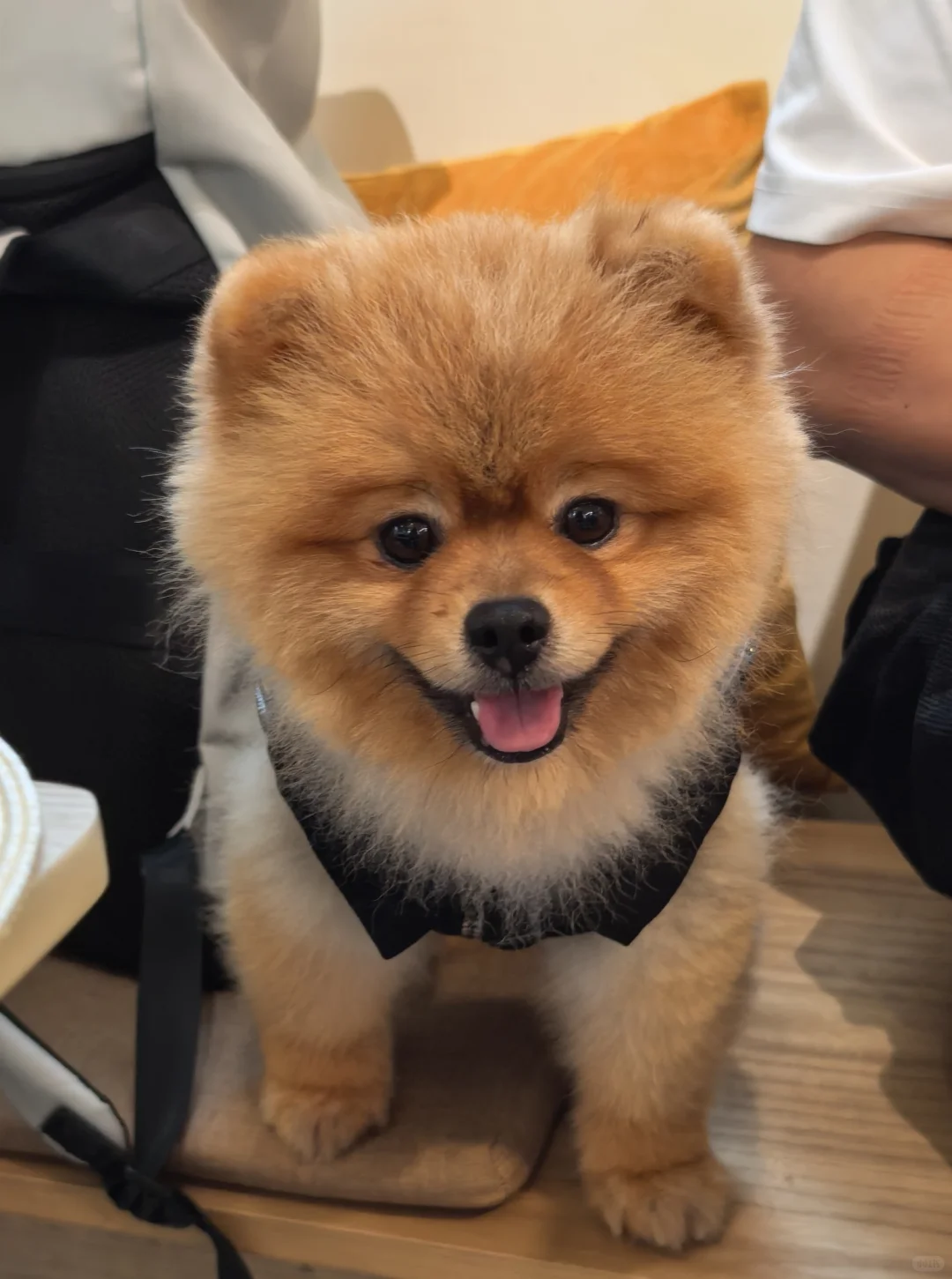 嘶…我们居然真的上了短剧？