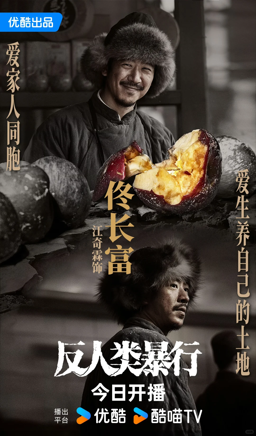 12月14日 追剧日历～