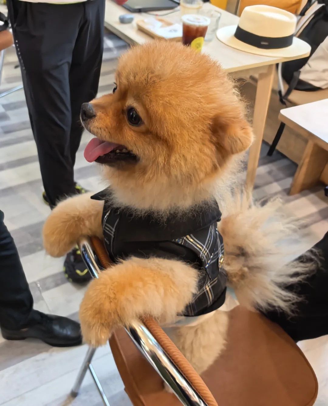 嘶…我们居然真的上了短剧？