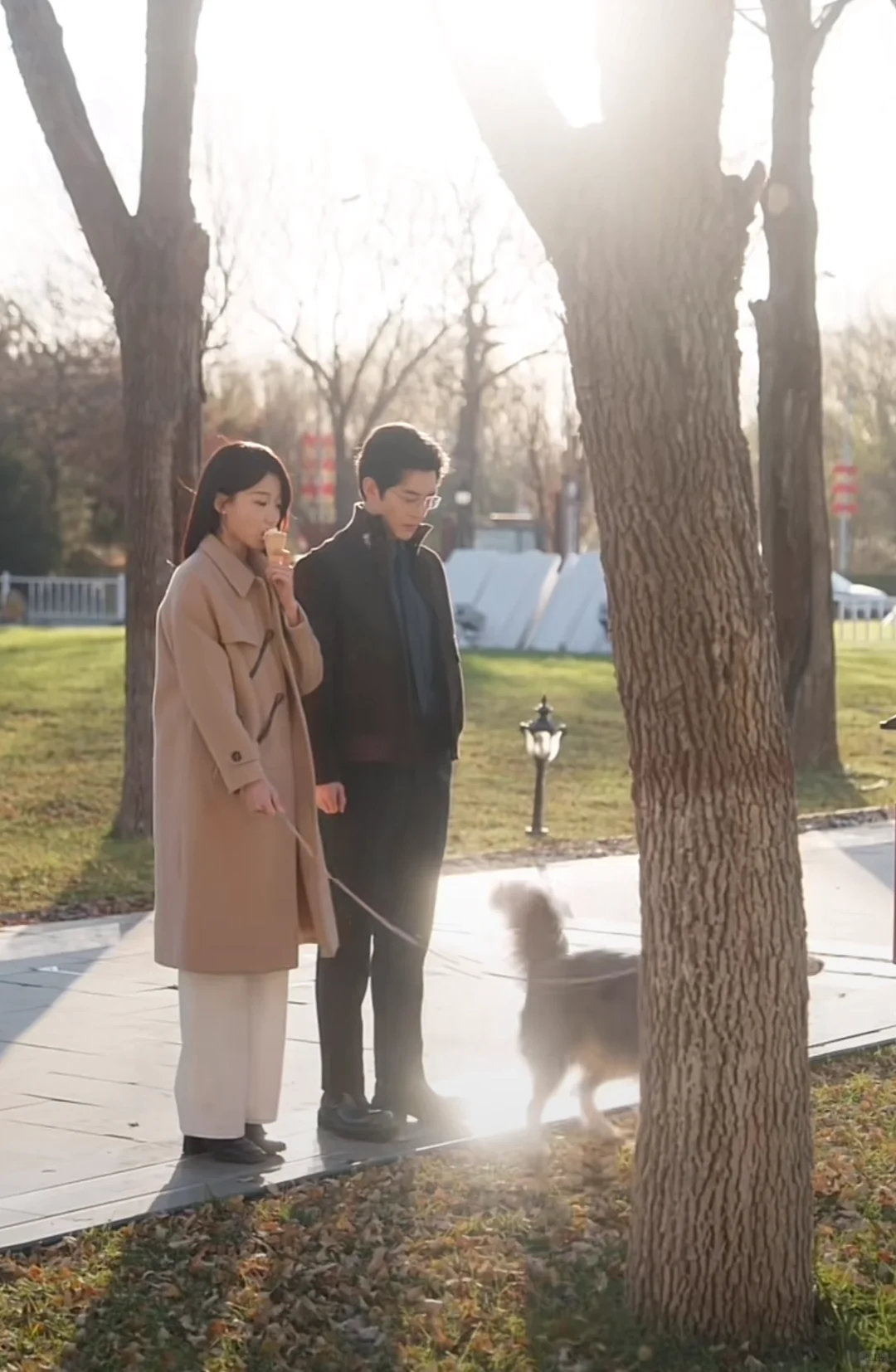 赵廷义的新剧朝阳似我，真好会拍职场爱情啊！