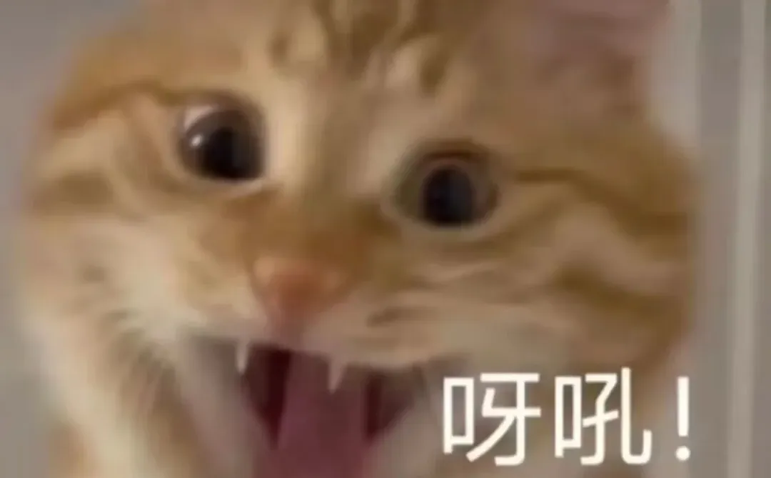 25岁，我遇到了学短剧的最强方法