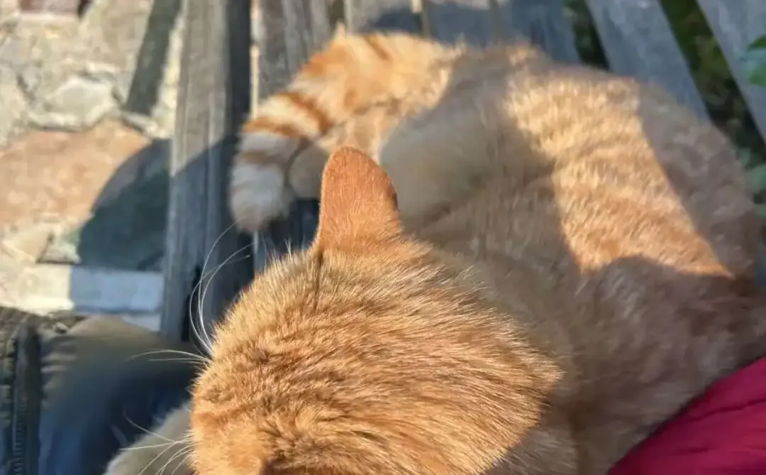 写短剧可千万不要太老实！