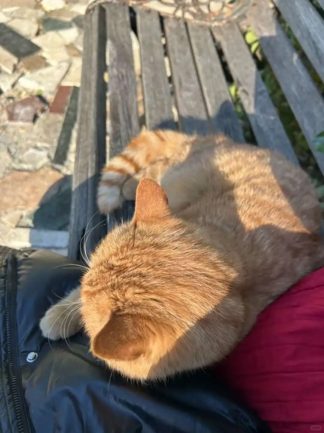 写短剧可千万不要太老实！