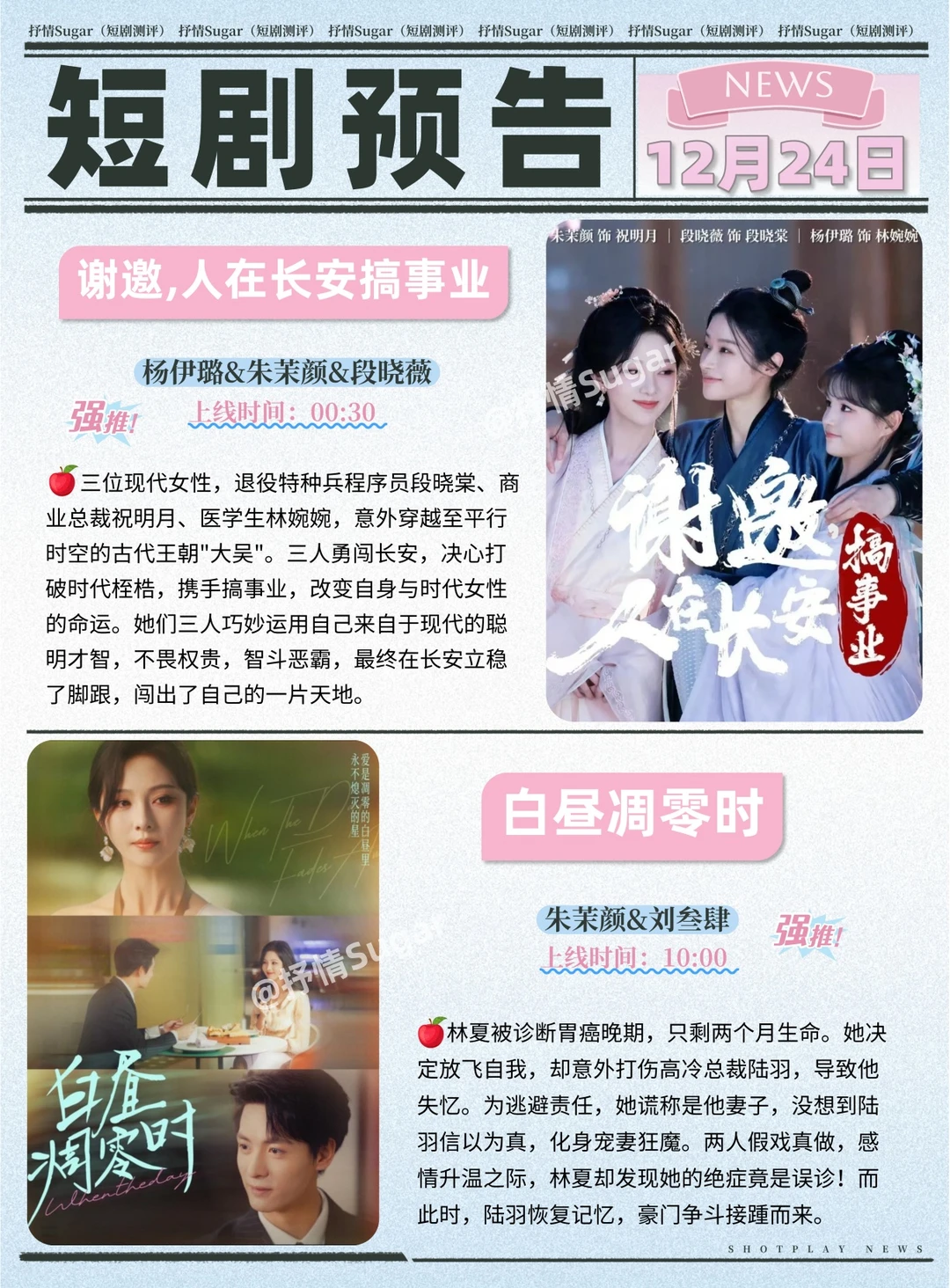 12月24日热门短剧上新预告！