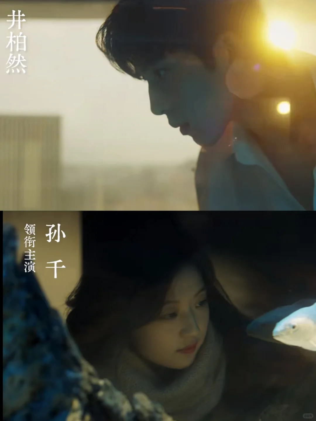 成年人的极致拉扯❗️新剧来了❗️❗️