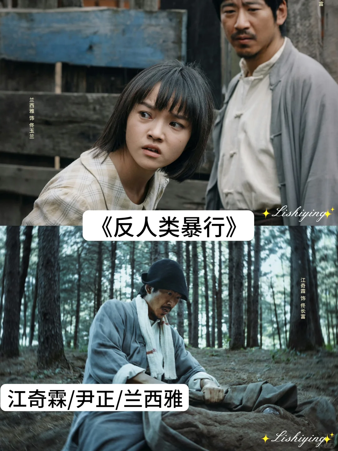 近期热播的电视剧