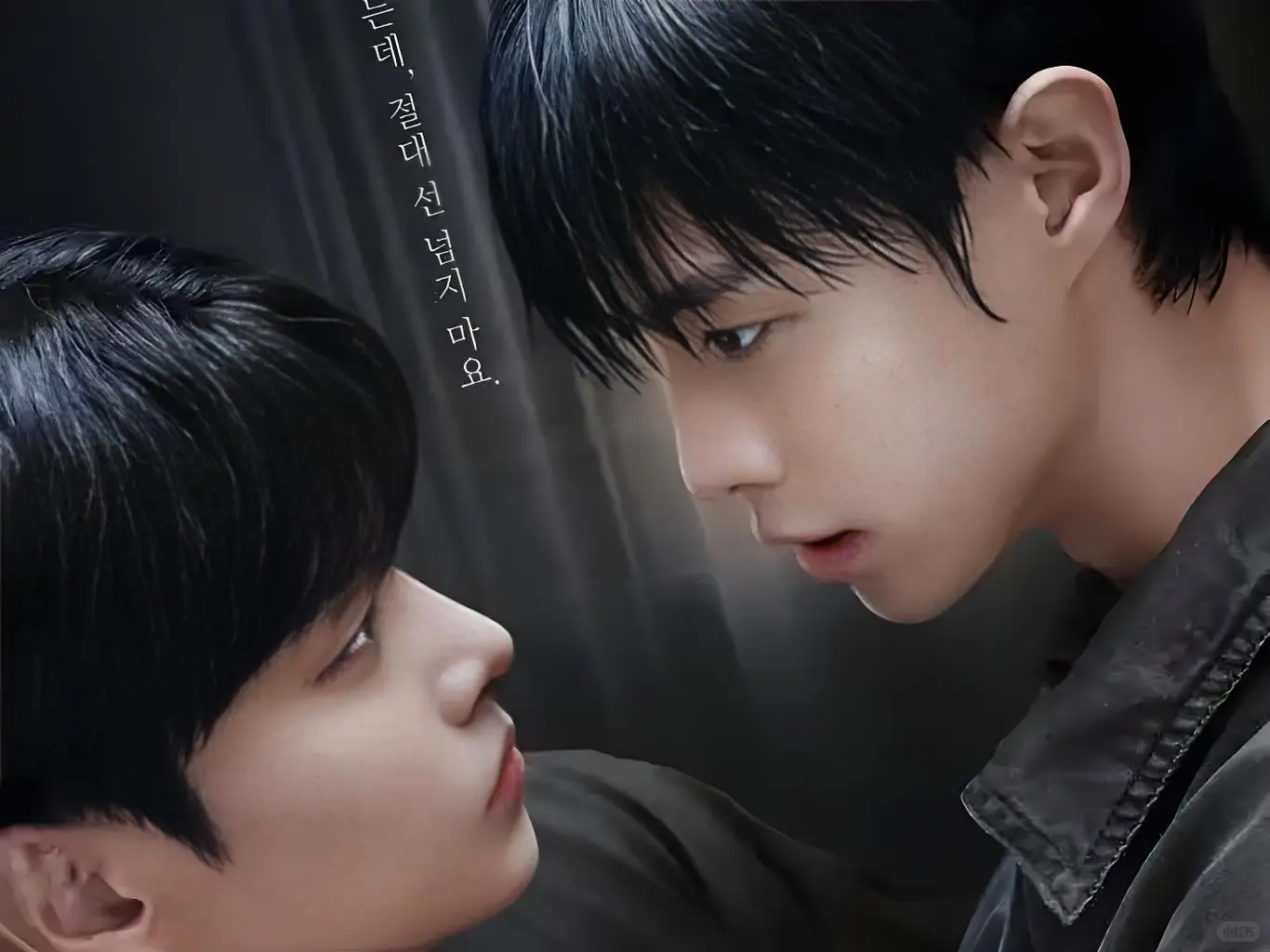 韩国双男主2025短剧