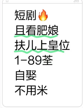 短剧且看肥娘扶儿上皇位全集来喽