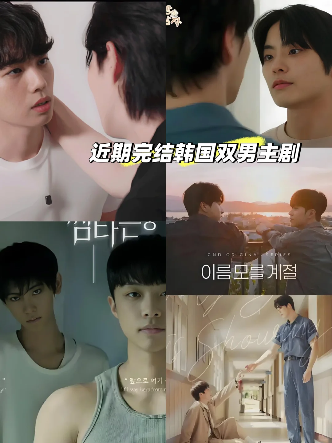 2025年近期完结韩国双男主剧