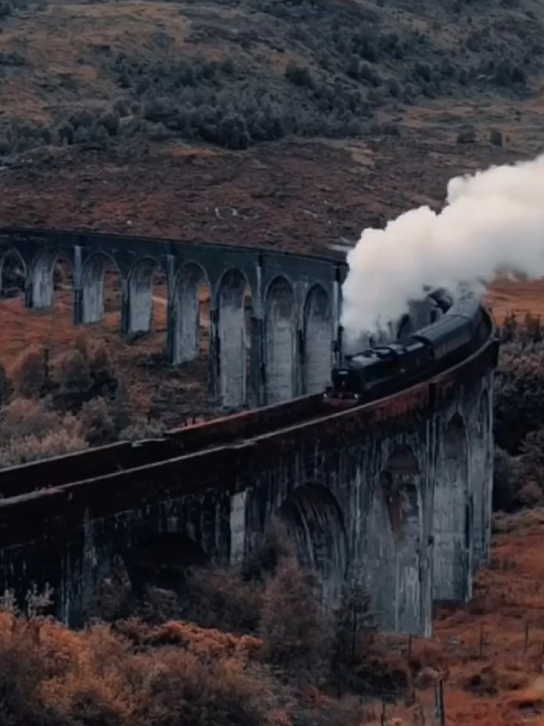 温馨热闹爽剧💙重生60年代激情燃烧的岁月