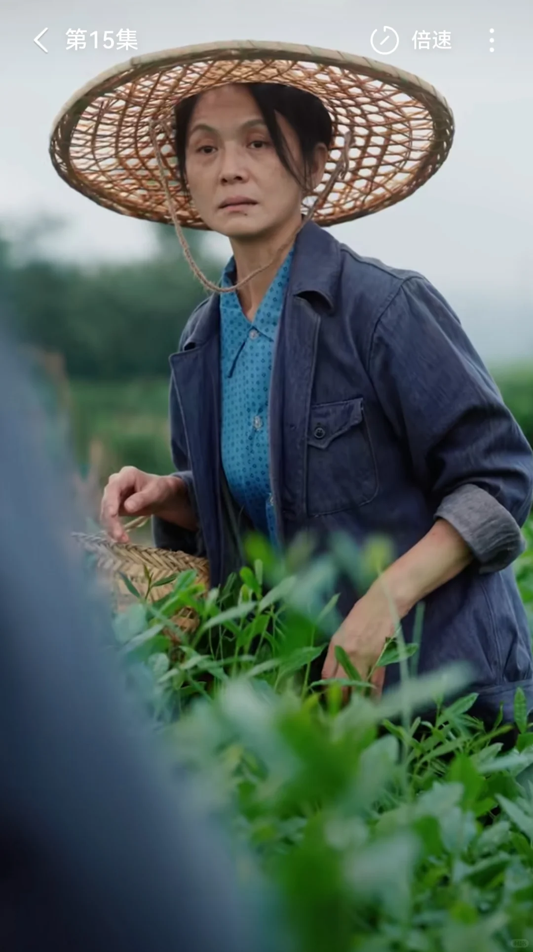 短剧推荐！迄今最搞笑最好看点年代剧