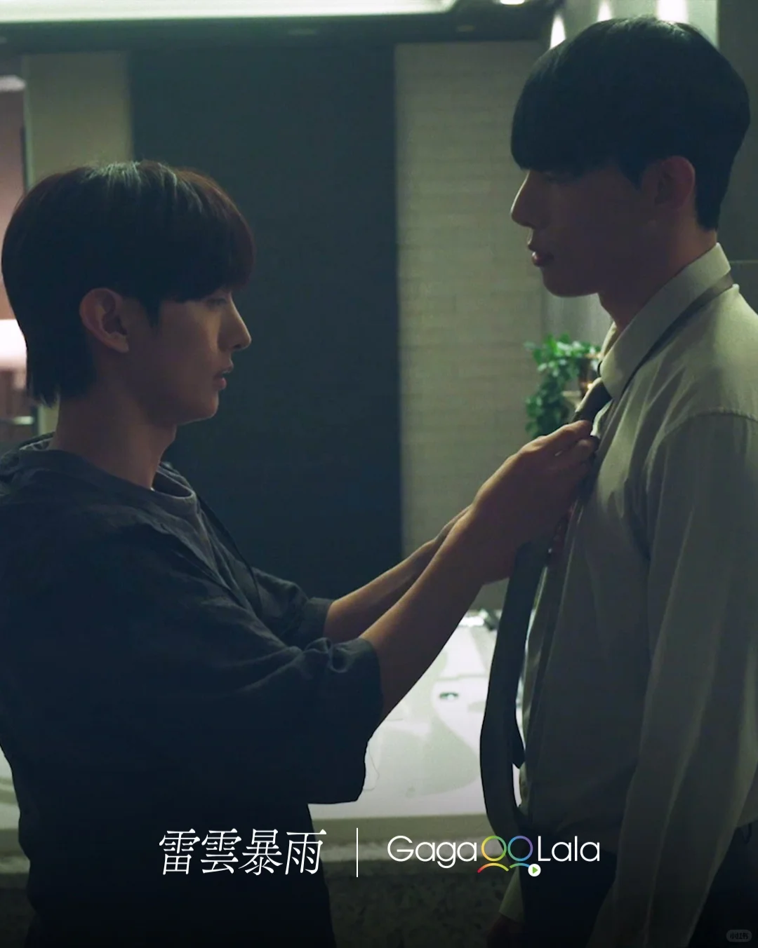 熟人Idol，最新韩腐