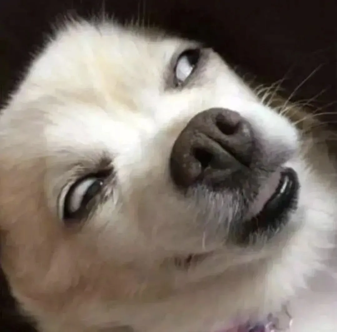 本人想做中韩短剧翻译