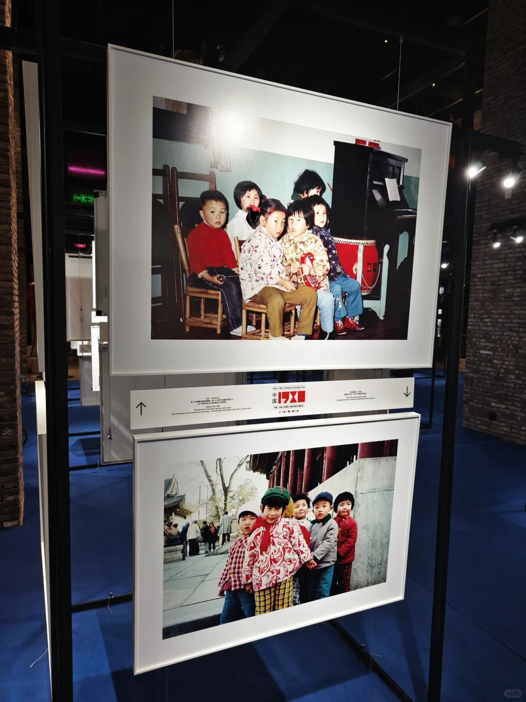 都2025年了！我居然看到80年代的鲜肉和牛马