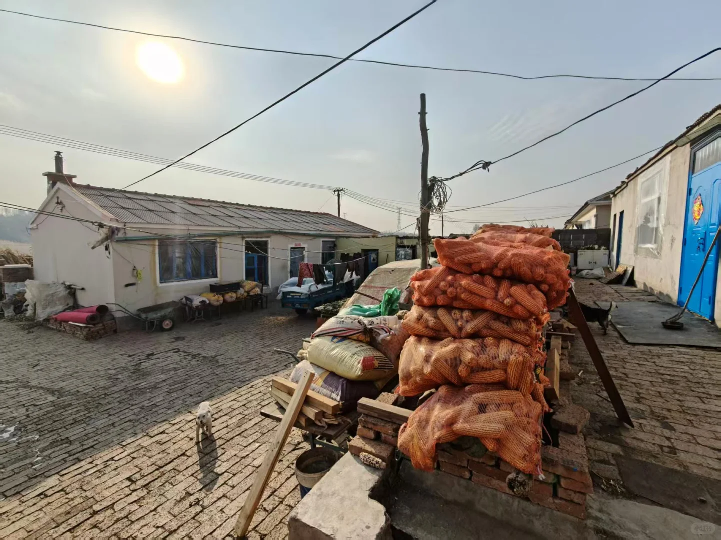 村落 东北 年代农村 房屋合集