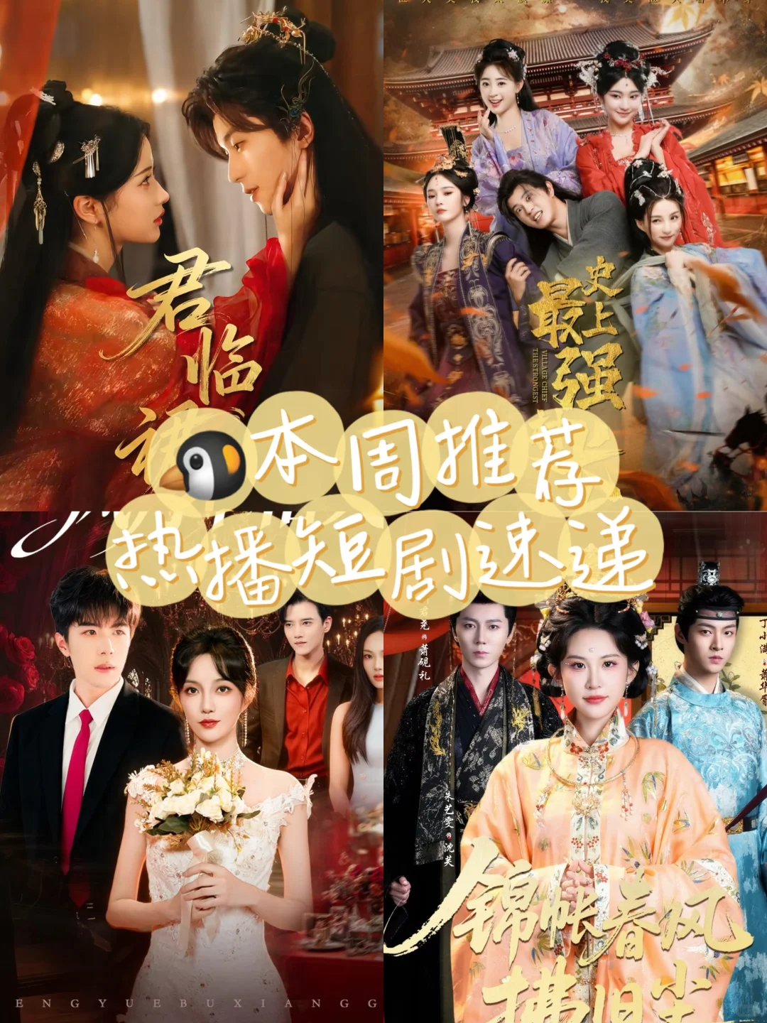 这些短剧好会拍